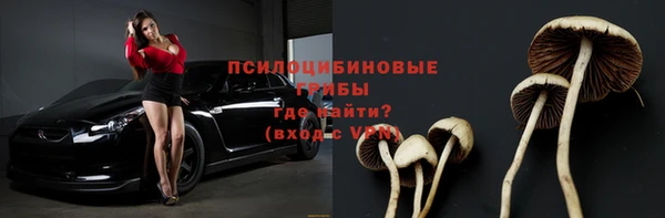 ГАЛЛЮЦИНОГЕННЫЕ ГРИБЫ Алексин