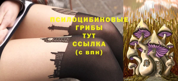 гашик Алексеевка