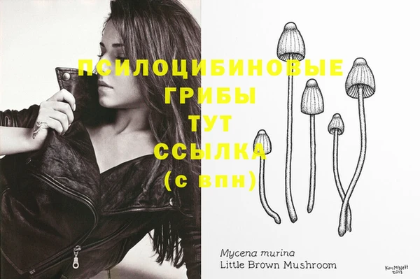 ГАЛЛЮЦИНОГЕННЫЕ ГРИБЫ Алексин