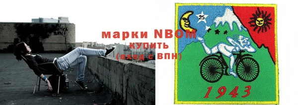 гашик Алексеевка