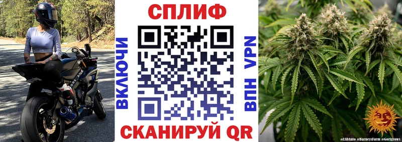 Шишки марихуана сатива  Купить где  Афипский 